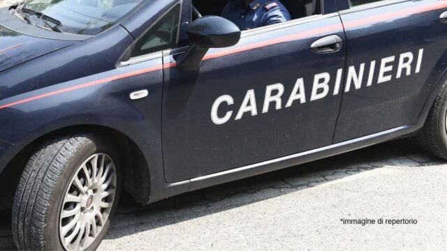 Uomo di Rivoli uccide il cane della compagna