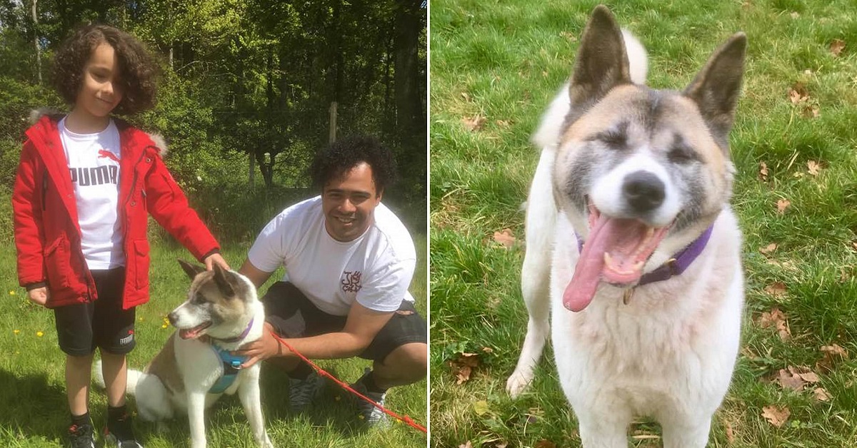Il ragazzo ritrova la sua cagnolina Missy, dopo un anno dalla sua scomparsa