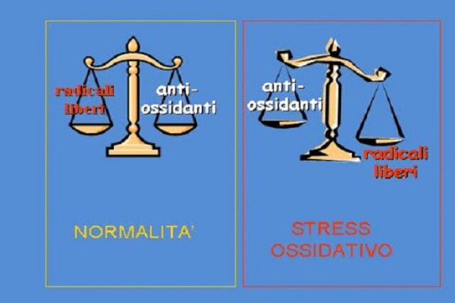 Cellula stressata e cellula non stressata