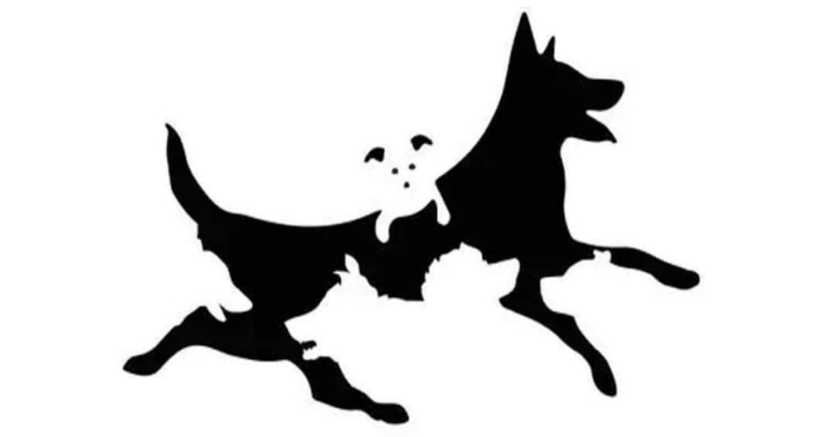 Quanti cani vedi nell’immagine? La risposta riflette la tua età mentale