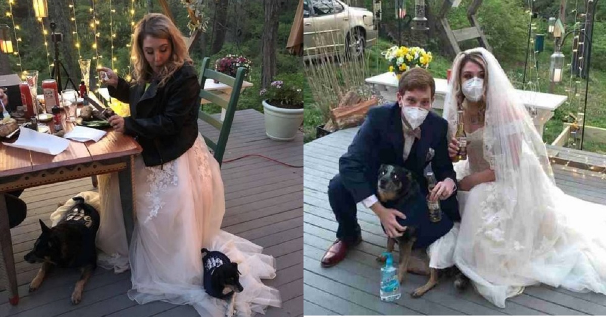 Trasmettono il matrimonio in diretta con damigelle speciali
