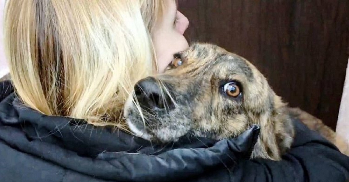 Trova un cane che chiede aiuto e fa una scoperta atroce