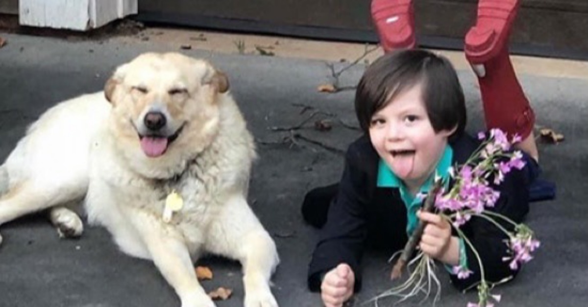 Jack sposa Skyler, la sua cagnolina e tutti sono rimasti stupiti
