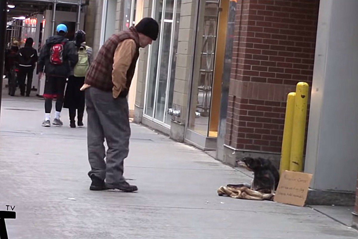 Matt Bandeira lascia cane in strada