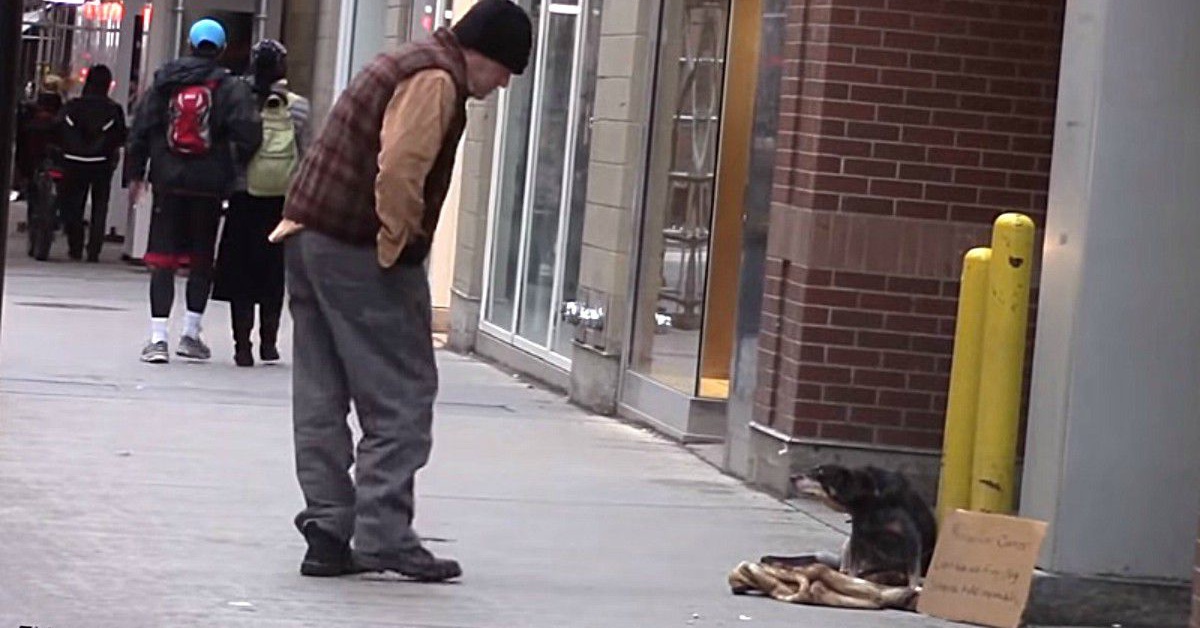 Matt Bandeira lascia un cane sulla strada: era un esperimento sociale