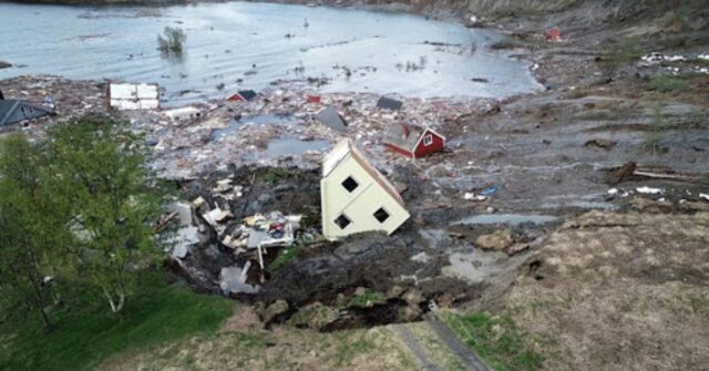 Norvegia cane sopravvive al crollo