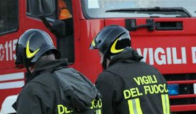 Roma vigili del fuoco salvano 10 cani