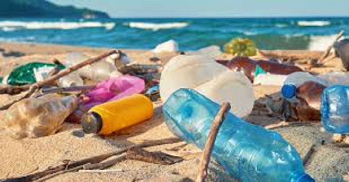 Trovato una bottiglia in mare e riceve mille dollari
