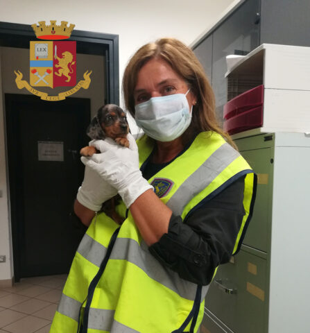 Udine polizia salva cuccioli