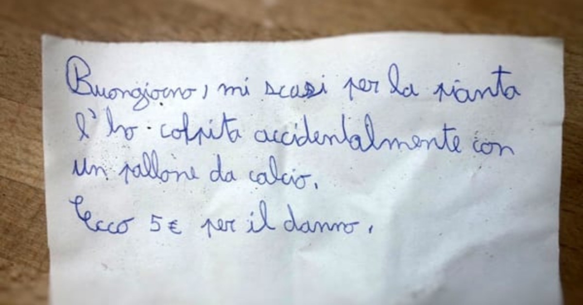 Bambino di 11 anni rompe la piante del vicino e gli lascia un biglietto di scuse