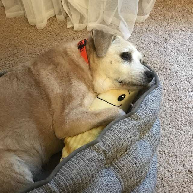 Tessa dorme con la banana