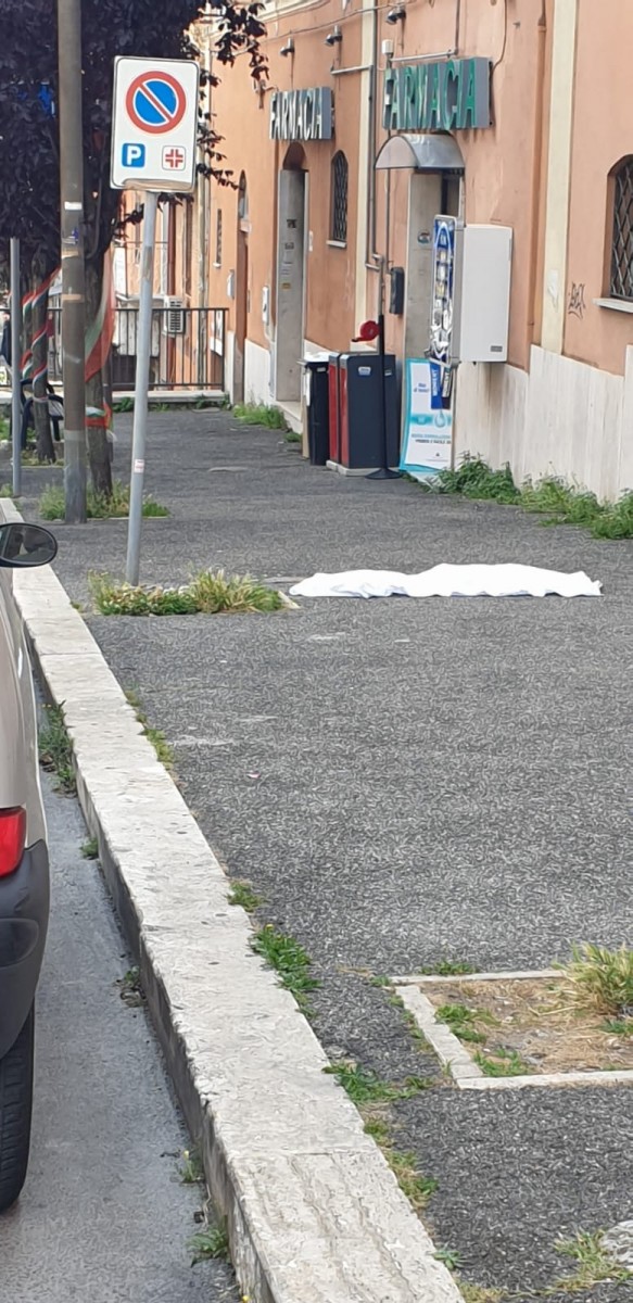 Precipitato un cagnolino