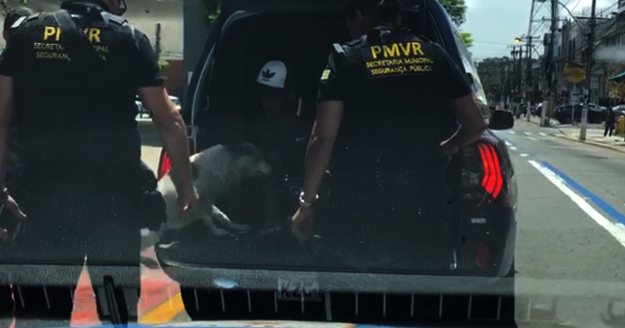 Polizia inseguita da un cane
