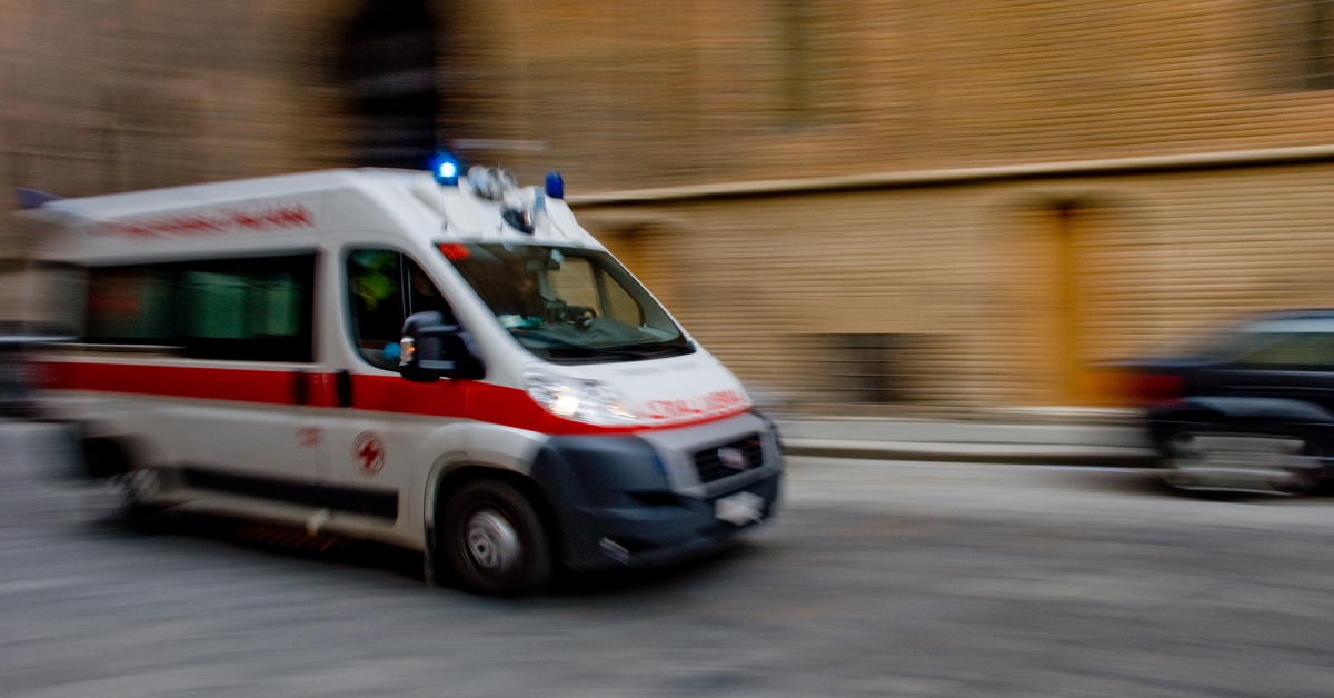 Cane finisce nel lago, è morto: inutili tutti i tentativi di salvarlo