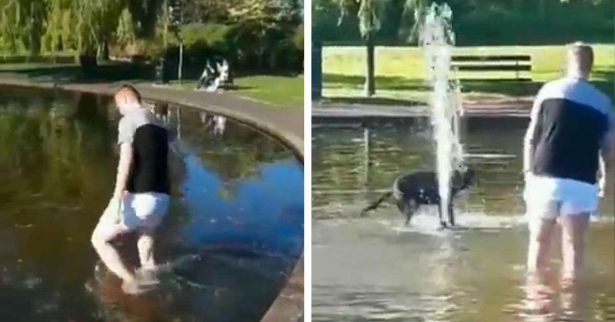 Cane nella fontana