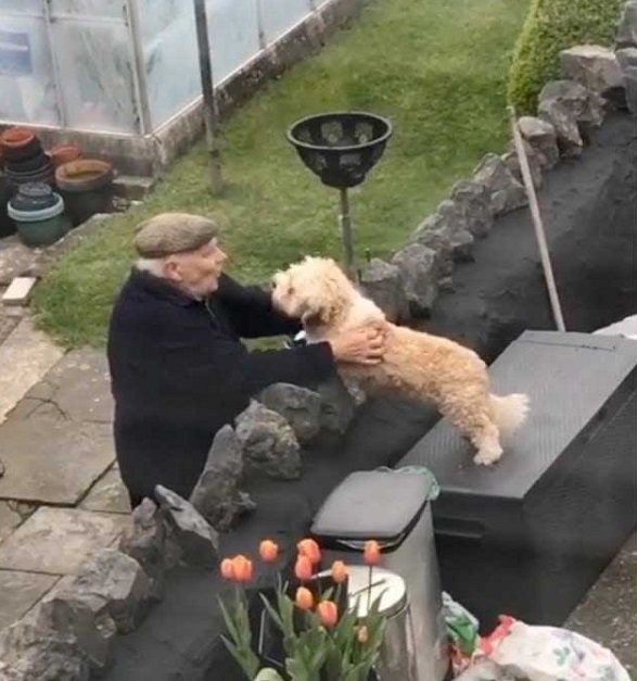 L'abbraccio del cane all'anziano