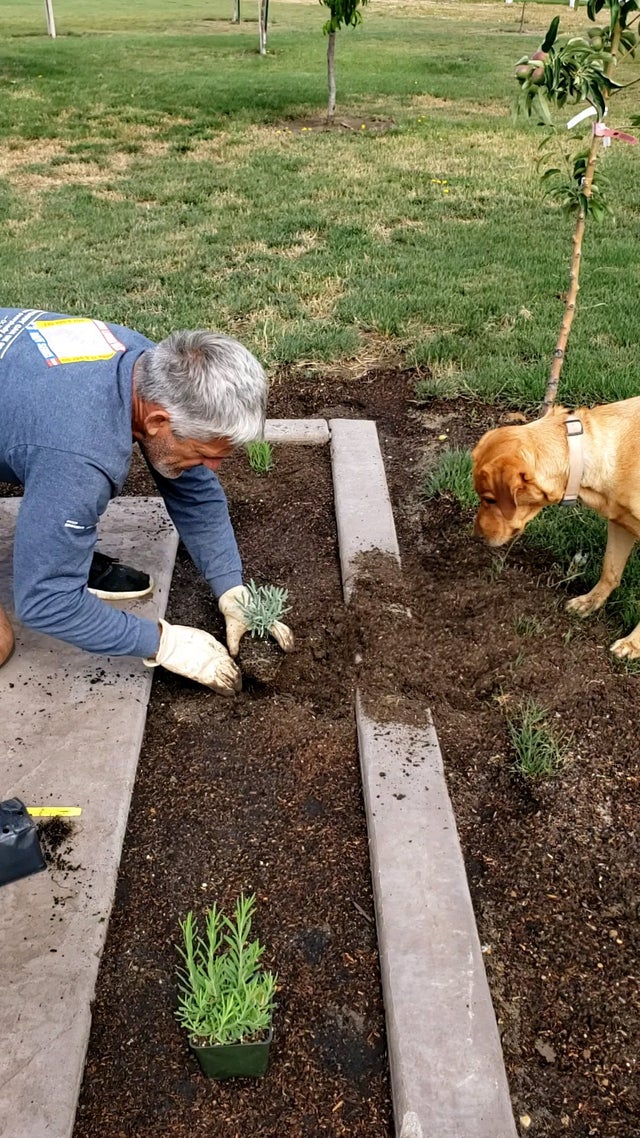 Georgia fa giardinaggio