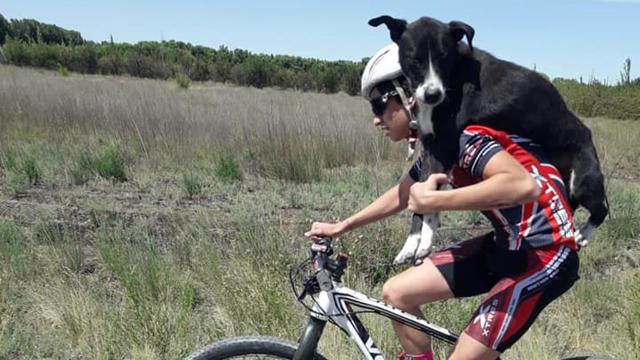 ciclista salva cane abbandonato