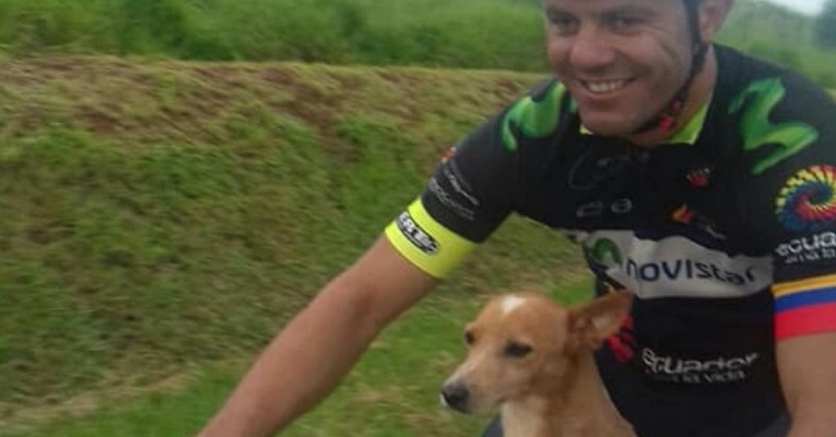 Ciclisti salvano un cane