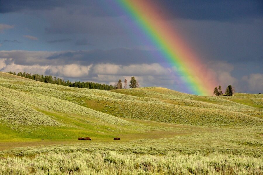 Colori dell'arcobaleno