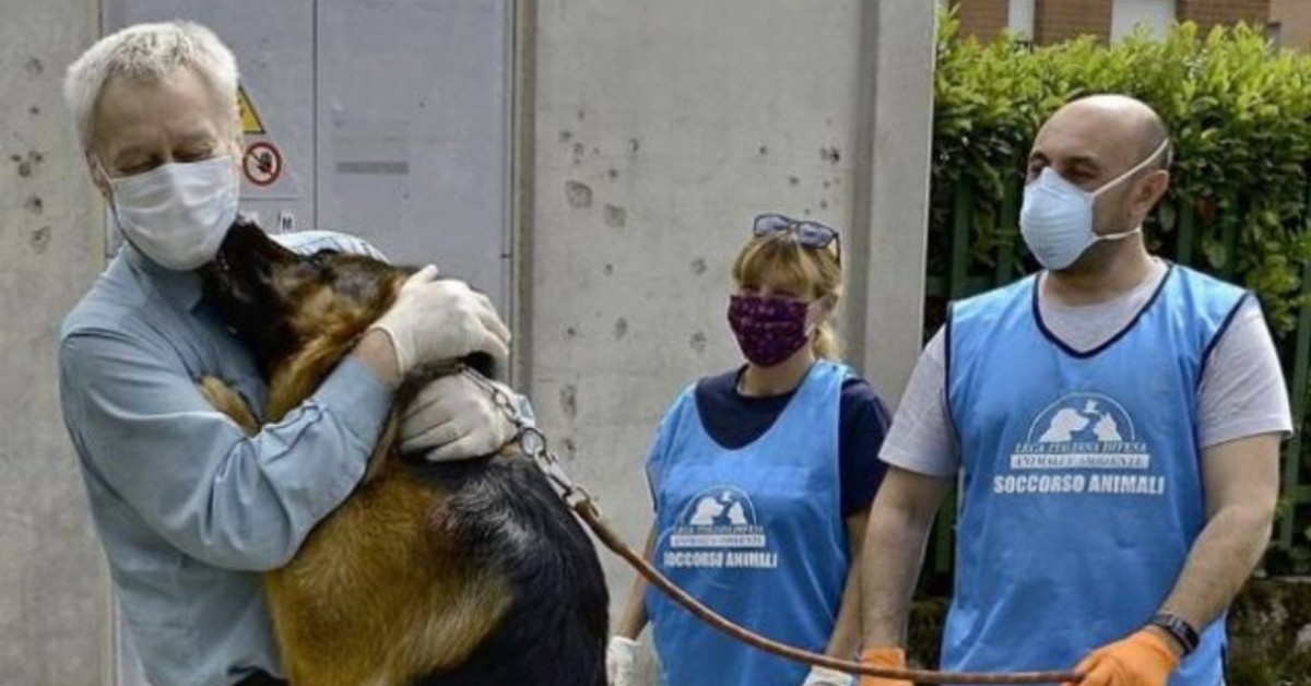 Coronavirus, il cane Blu riabbraccia la sua famiglia: il video dell’incontro