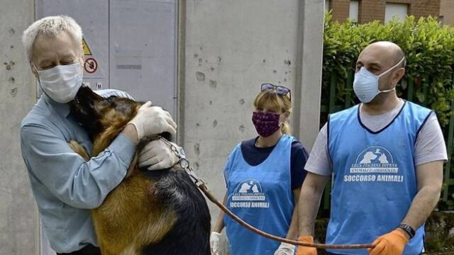 Il cane Blu riabbraccia la sua famiglia