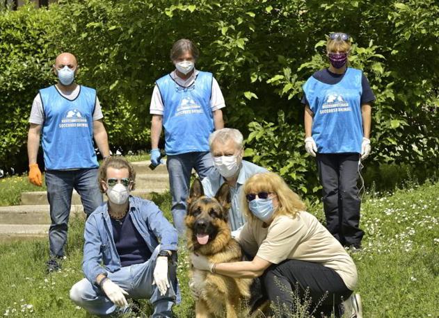 Il cane Blu riabbraccia la sua famiglia