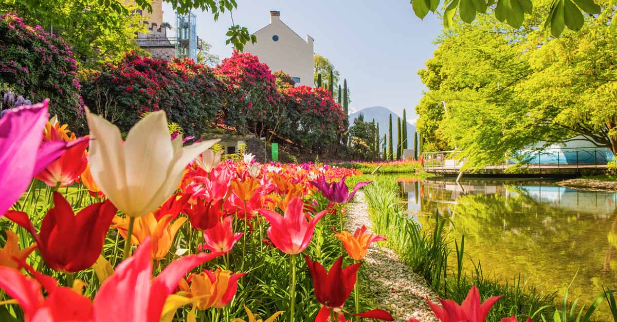 I fiori, le piante e il verde di Merano