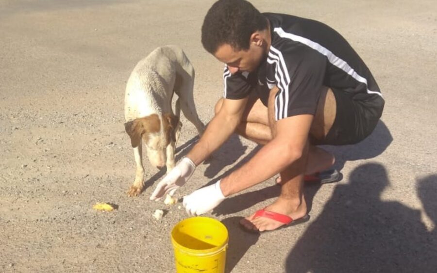 Giovane da dà mangiare al cane