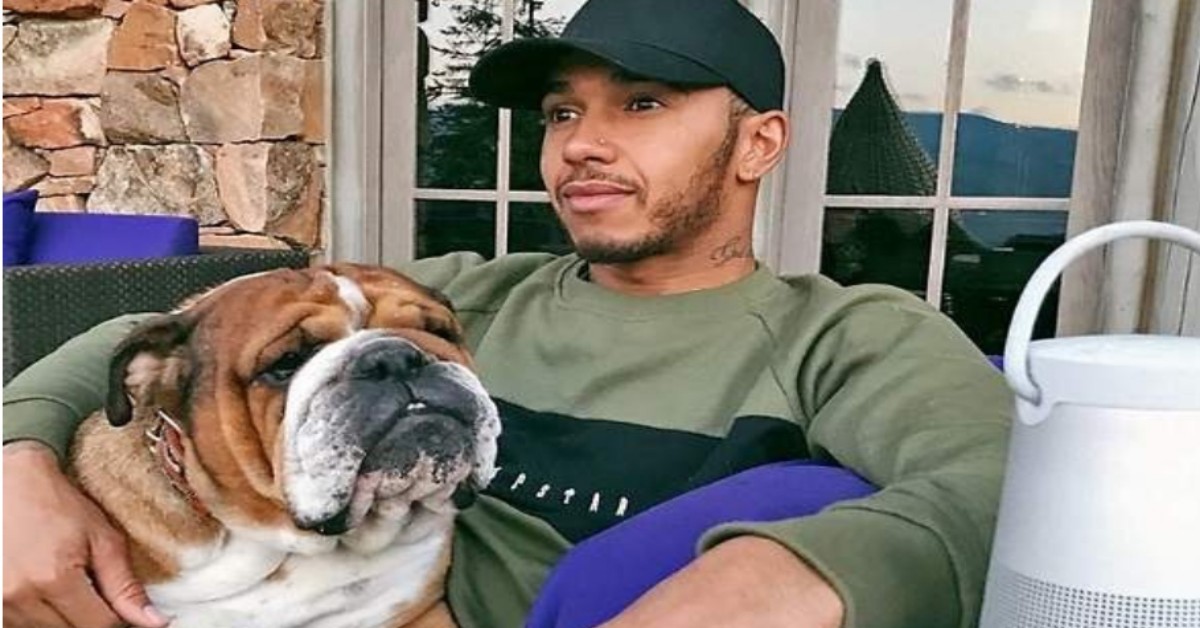 È morto Coco, il cane di  Lewis Hamilton: colpito da un infarto
