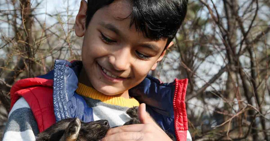 Il bambino e il cane