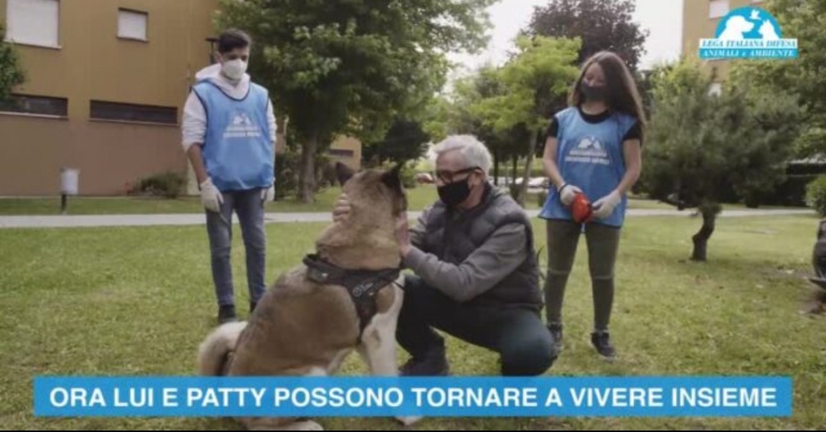 Il suo proprietario è guarito dal Coronavirus: Patty torna finalmente a casa