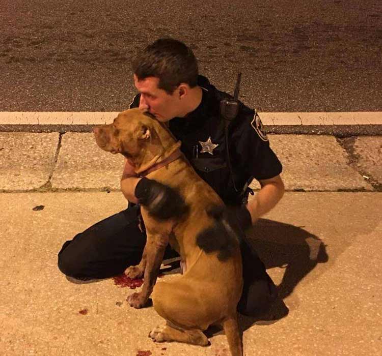 poliziotti salvano 2 cani abbandonati