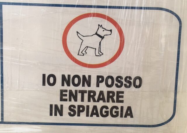 Vietato l'accesso alle spiagge per i cani