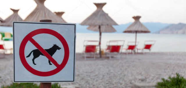 Vietato l'accesso alle spiagge per i cani