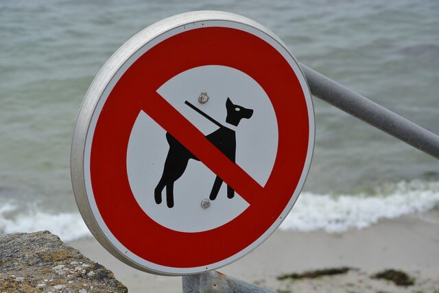 Vietato l'accesso alle spiagge per i cani