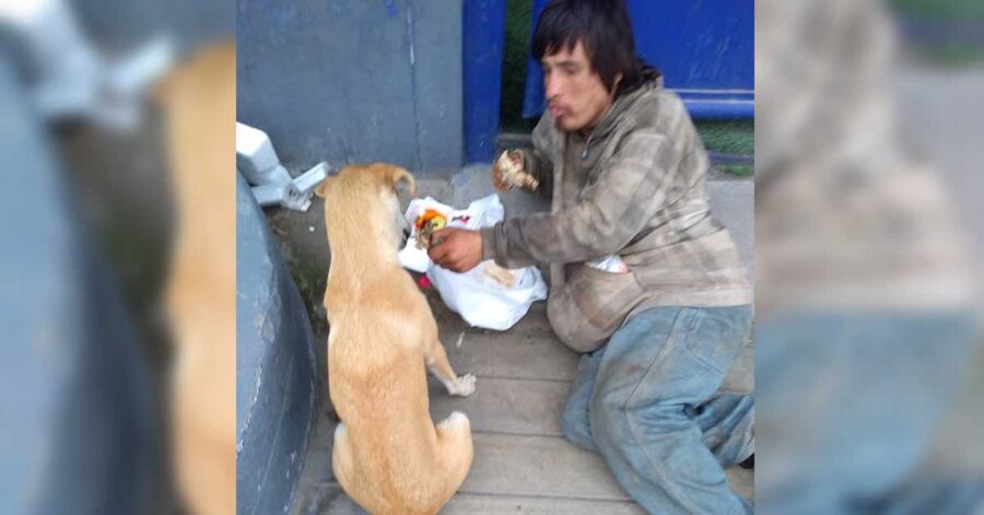 Senzatetto dà il cibo al cane