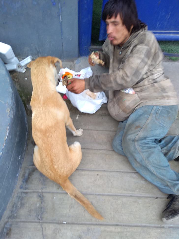 Uomo condivide il pollo con il cane