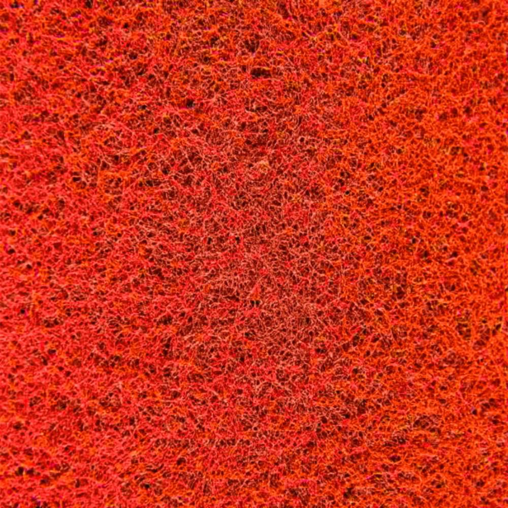 spugna rossa