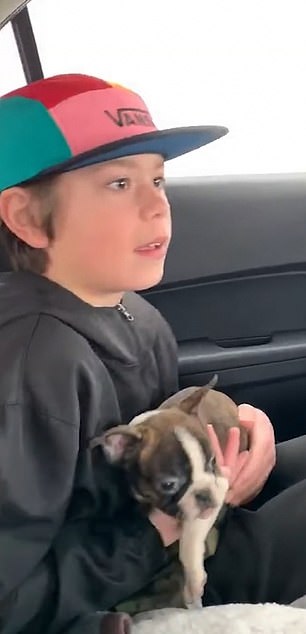 Il cucciolo di cane regalato al figlio