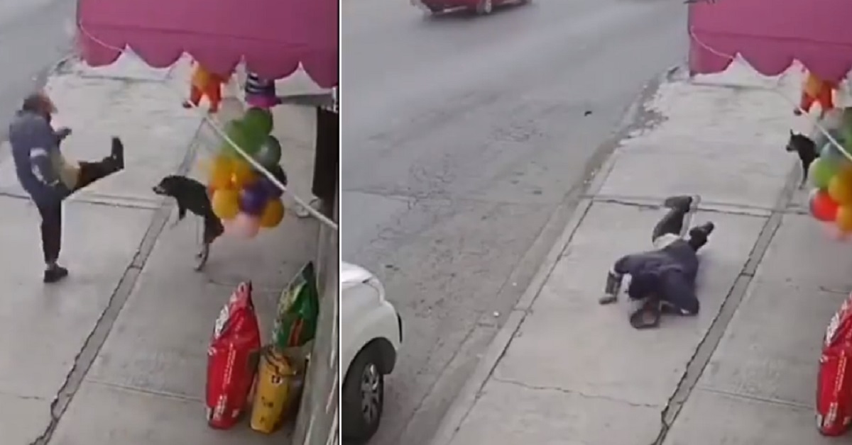 Uomo cade mentre calcia il cane