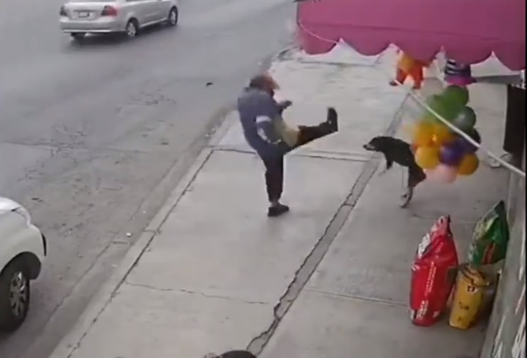 Uomo dà un calcio a un cane