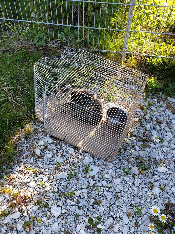 Gabbia per uccelli trovata fuori un rifugio