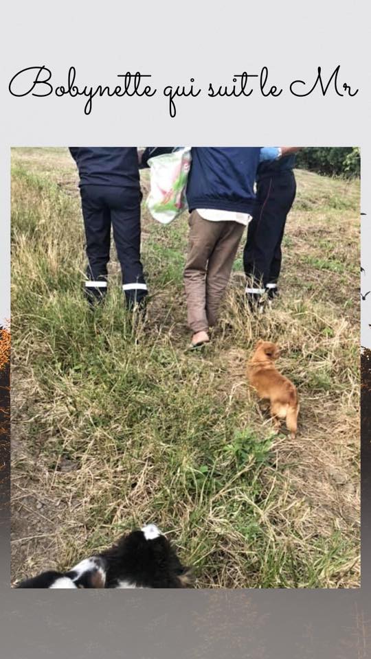 Cécile e il cane fedele