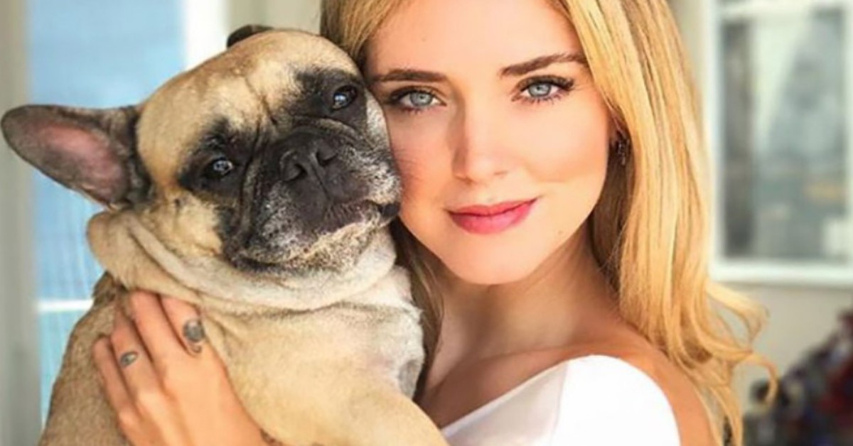 Matilda, la cagnolina di Chiara Ferragni, dovrà fare la radioterapia