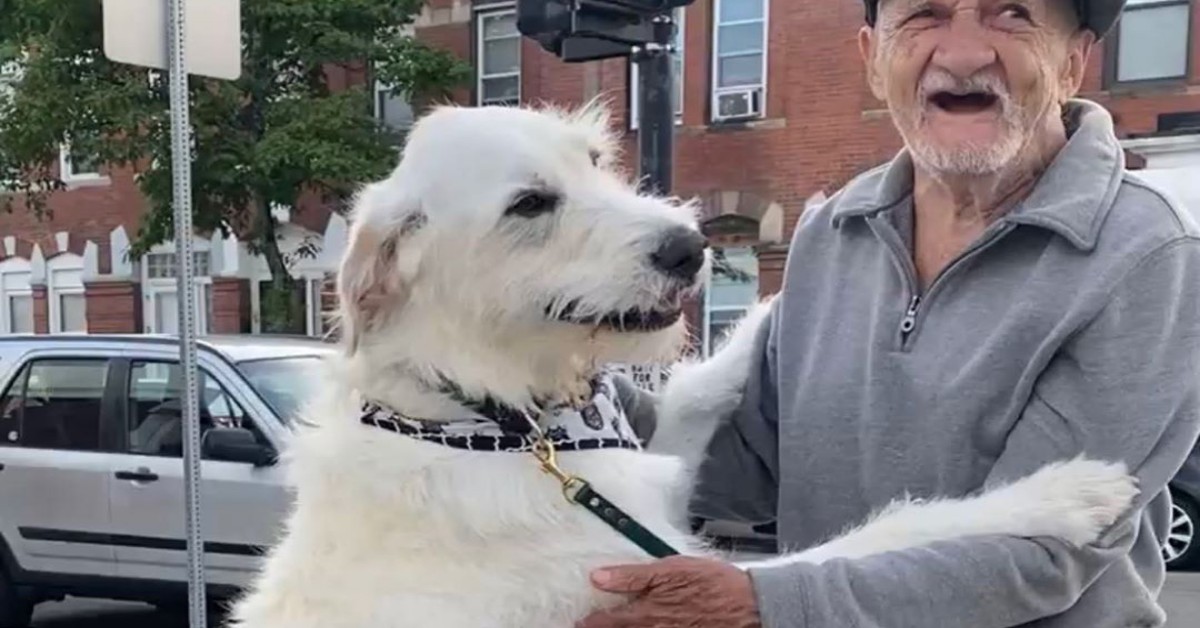 Paul, il cane che si emoziona quando rivede il suo vicino: l’uomo ha sconfitto il Covid