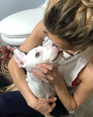 Pit bull con diagnosi di tetano