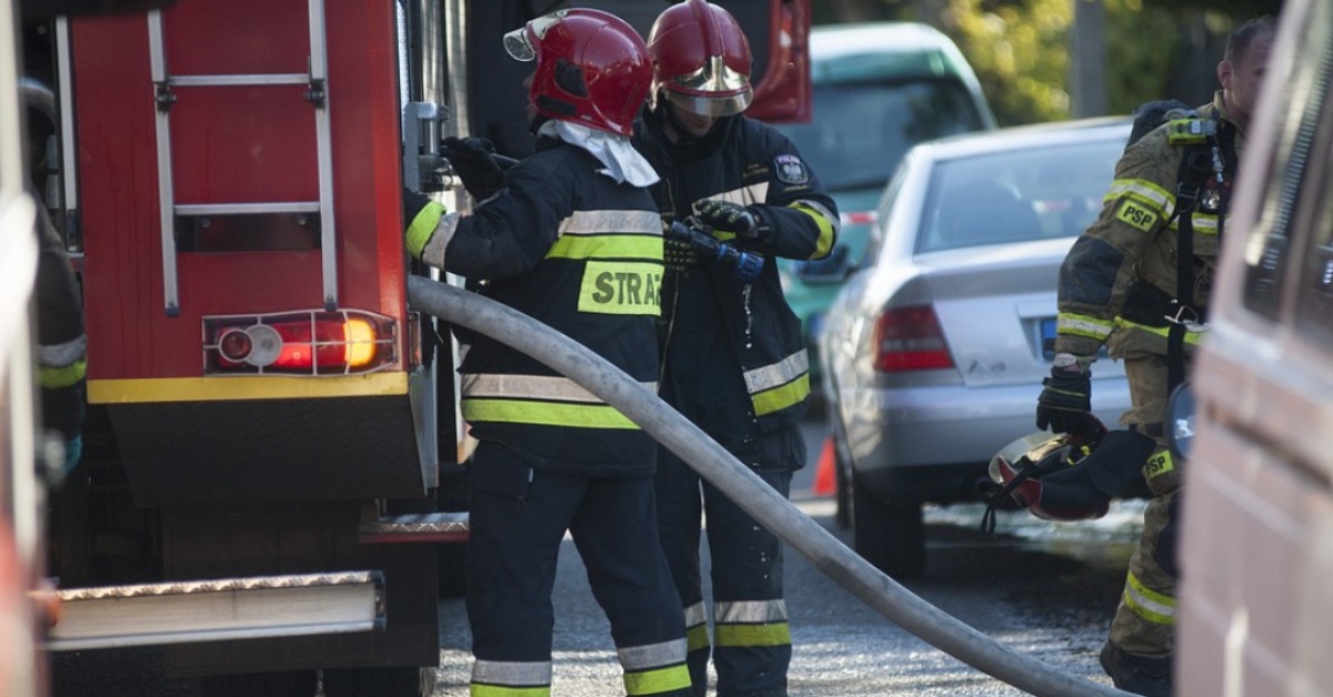 Torino, cane lasciato sul balcone senza cibo e senza acqua: salvato dai Vigili del Fuoco
