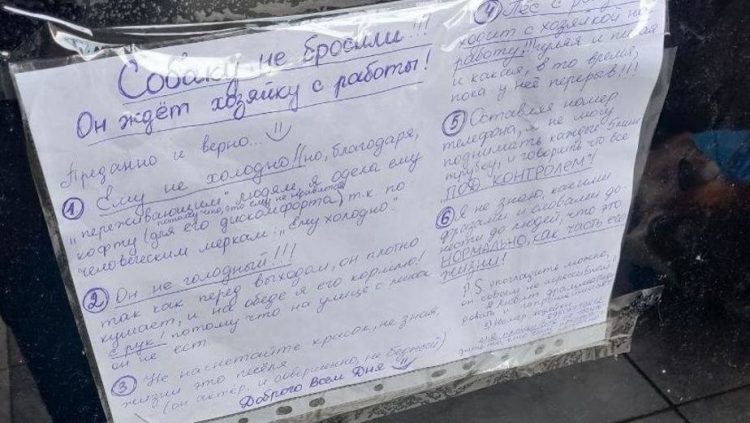 Cartello che racconta la storia dell'husky