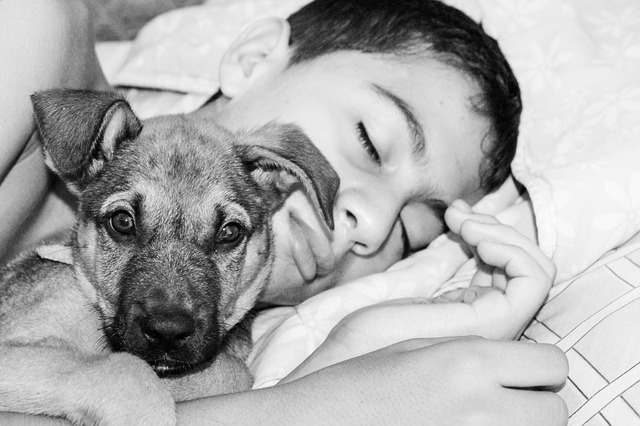 Cane e bambino a letto